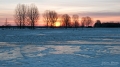 002_Biebrza - marzec 2013